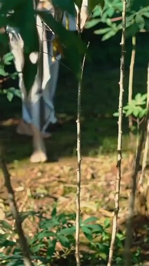 @nanoferts on Instagram: "Protect plants without harming wildlife. Use barriers, natural repellents, and predator habitats for humane pest control. Contact Nanoferts for eco-friendly solutions."