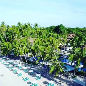 DutchPilotGirl on Reels