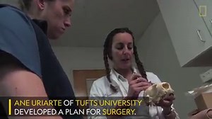 After undergoing a groundbreaking medical treatment for her brain disorder, Ziggy Star is back in the water. | National Geographic