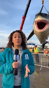 largest rubber shark ever recovered #fblifestyle | Bebicris vlog