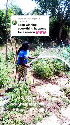 Classmates' Study Dynamics in Kenya