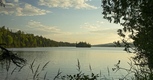 Michigan man charged in kidnapping attempts, UAW launches Trump support group and more top stories