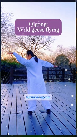 2.1K views · 96 reactions | Move gracefully, breathe deeply — Tai Chi refreshes your whole being. ✨ #fblifestyle | Taichi.zidong | Facebook