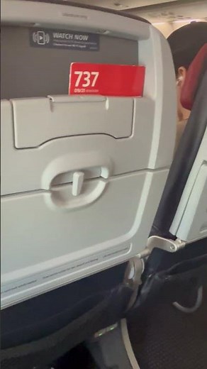 Seat overview: American Airlines 737 17A ext row