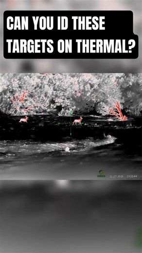 Can You ID These Targets On Thermal?