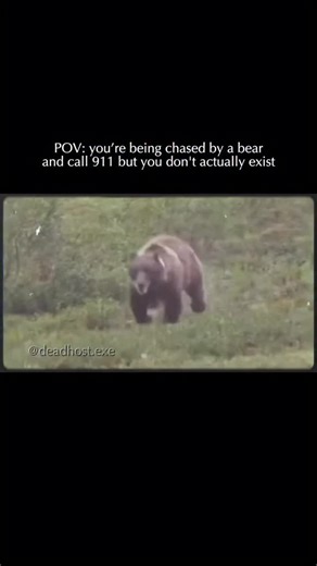 deadhost.exe on Instagram: "On October 18, 2024, a frantic 911 call was placed from the Cherohala Skyway in Tellico Plains, Tennessee. The caller identified himself as Brandon Andrade and claimed he was being chased by a bear before falling off a steep cliff. When search teams arrived at the remote location, they discovered a body carrying Andrade’s identification, leading them to believe the “bear attack” had been fatal. The mystery took a dark turn when investigators realized the body was not 