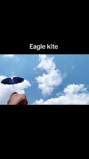 Eagle Kite Flying High