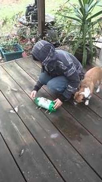 Apologia physical science 10.4 Newton's Third Law