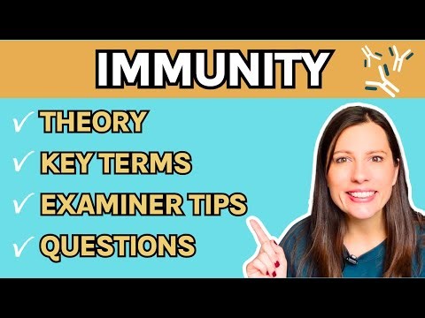 Immunity for A-level Biology | All the theory, exam questions, key terms and examiner tips! | Revise