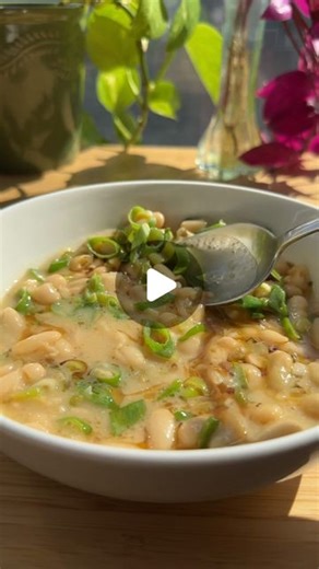 Raquel Ravivo on Instagram: "Actually Quick Meals ep 6: Brothy Miso Beans 🫘🥣 the quickest and most flavourful bean dish. These were a hit when I posted them last year so I wanted to share with anyone new here ✨ 2 tbsp olive oil or vegan butter 6 green onions, thinly sliced, greens and whites separated 3 cloves garlic, minced 1 can white beans, (cannellini or butter beans would both work) 2 cups low sodium veggie broth 1 piece of dried kelp (kombu) 2 tbsps miso 1 tbsp sesame oil 1. Heat oil in