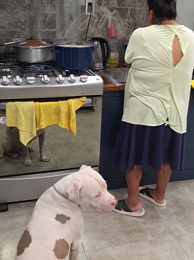 Cómo crear tu página de Facebook