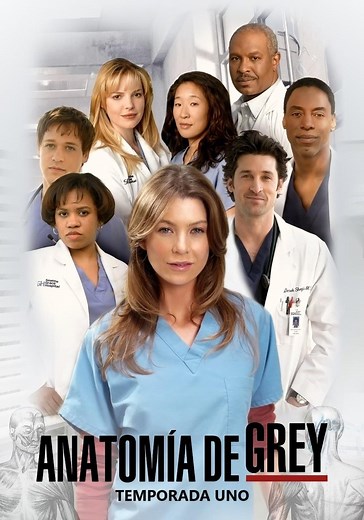 Anatomía de Grey temporada 1 - Ver episodios online
