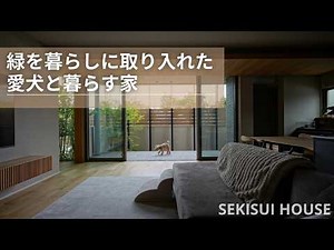 Sekisui House: A Home Designed for You and Your Dog, Embracing Nature in Everyday Life [Ouchi Labo]