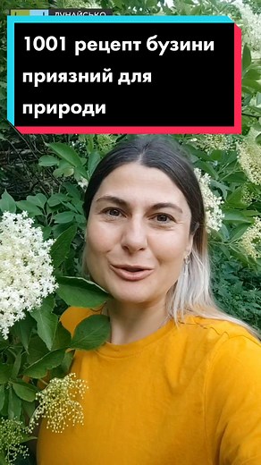 D.C.Programme на TikTok