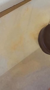 12K views · 603 reactions | Give me all the gold this holiday season!! 朗 @shinedessertglitter metallic gold is my absolute FAVE for a true gold effect @daisymakes_innovations large circle popper used - use code RACHEL10 To get yours! Dipped in @stoverandcompany sweet shoppe dark melting wafers for this stunning look! #cakepops #cottagebaker #cakepoptutorial #homebaker #treatmaker | Cakepops by Rachel | Facebook