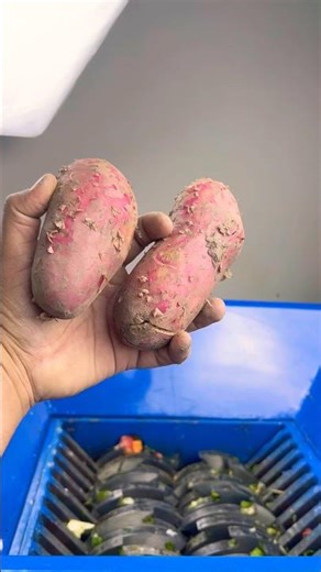 RELAXING Potatoes vs ASMR Shredder 🥔🍠🥔🍠 #oddlysatisfying #shreddermachineasmr #industrialasmr