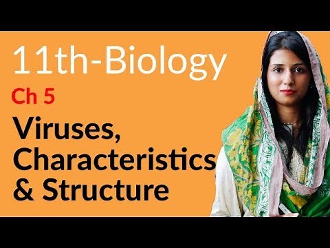 First Year Biology, Ch 5, Viruses Characteristics and Structure - FSc Biology Part 1