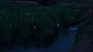 National Park Foundation TV Spot, 'The Wonder of Nature'