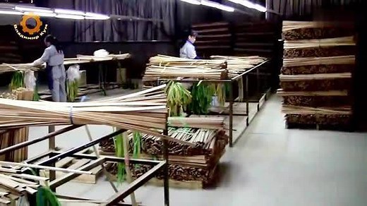 实拍国内的竹子加工厂,：竹材原来都是这样来的