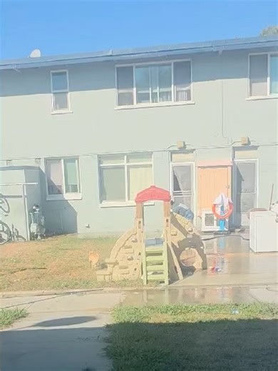 The Kris Kelly Foundation on Reels