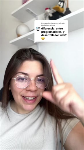 Diferencias entre Programador y Desarrollador Web