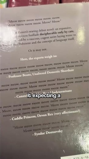 The Only Book Cats Can Actually Read! 🐱