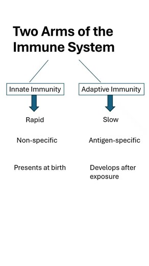 Lesson 1.2 | Introduction to immunology | Innate and adaptive immunity