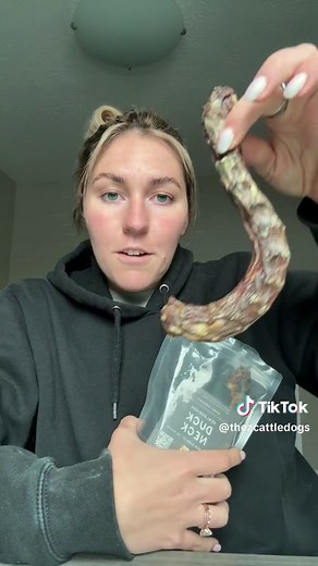 Healthy Dog Dental Care Alternatives Without Toothbrushing