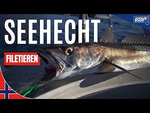 Seehecht filetieren | Fische richtig zubereiten nach dem Angeln in Norwegen | Fisch häuten