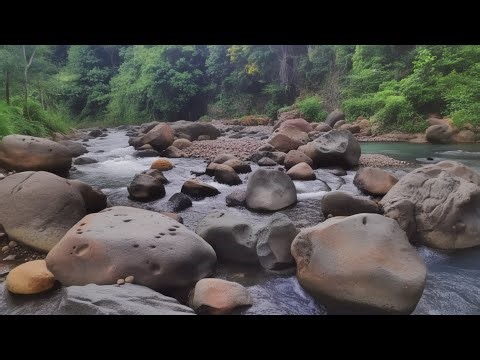 Deep Rushing River Water Sound Effect with Jungle Rainforest Nature for Sleep Meditation Focus