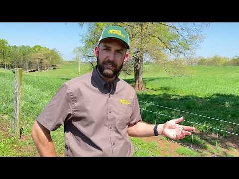 Choose the Best Type of Fence: Cattle - Pasture Management