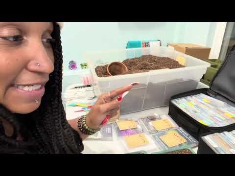 What seeds are you starting indoors in January? #growyourownfood #seedstarting #gardening #letsgrow