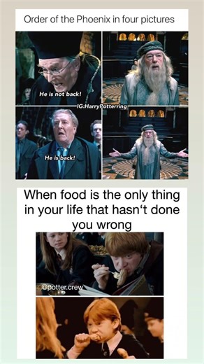 When Food Is the Only Thing That Never Betrayed You 🍗😂 #shortsviral #meme Al#harrypotter