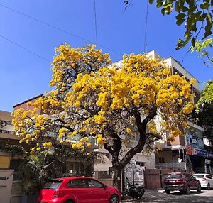 The influencing technique no one told you about