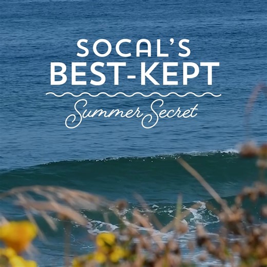 Your next adventure starts in Redondo Beach. With stunning stretches of coastline, a vibrant local culture, and endless outdoor activities, it’s the perfect destination to unwind, explore, and create lasting memories this summer. | Redondo Beach Tourism