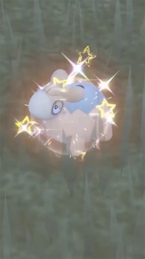 ✨Shiny✨ Numel in Pokémon Scarlet! #pokemon #gen9 #shinypokemon #wildshiny #legendsza #pokemon