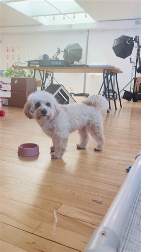 Em & Me Studio on TikTok