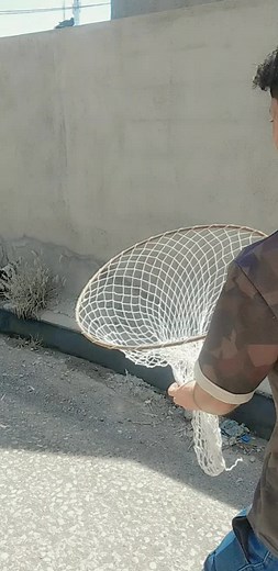 Young Man Catches Pigeon with Creative Net Technique