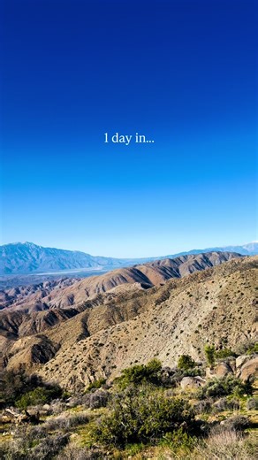 1 day in…Joshua Tree National Park! 1 day here was honestly perfect & was a great day trip if you’re staying in the Palm Springs/Palm Desert area We didn’t have much of a plan, just hopped in & out of the car based on vibes & it worked out great #joshuatree #joshuatreenationalpark