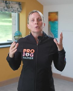 Struggling to get your dog to come back when called? You’re not alone. For so many dog owners, the frustration of poor recall can make walks stressful and unpredictable. You want to let your dog run free, explore, and have fun... but what happens when they don’t come back? That’s where the Total Recall Training Course comes in. It’s a fun, game-based approach to recall training that teaches your dog to respond enthusiastically every single time. No more chasing, yelling, or worrying—they’ll come