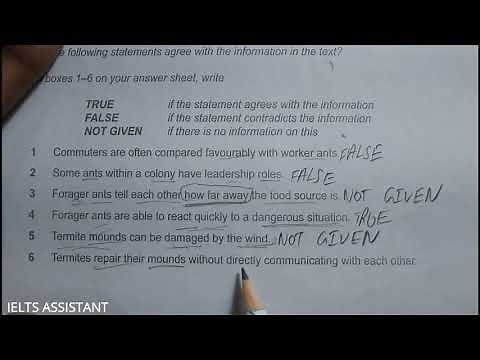 Secrets of the Swarm