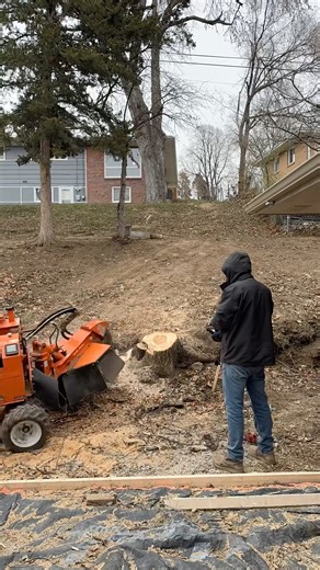 Let's grind a stump with my remote controller stump grinder. #stumpgrinding