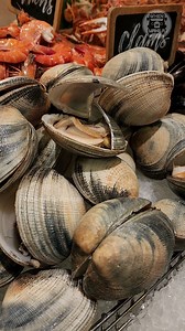 3K views · 16 reactions | Love the food at the Marriott Cafe. This is the Manila Marriott Hotel Buffet. Take a walking tour of the Marriott buffet with us to see what's yummy here ❤️ Huge Clams at Marriott Cafe : Manila Marriott Buffet walking tour When In Manila Food Marriott Hotels Manila Marriott Hotel #wheninmanila #wimyummy #marriottcafe #manilamarriothotel #marriottmemoments #marriottbuffet #marriotthotelmanila | When In Manila | Facebook