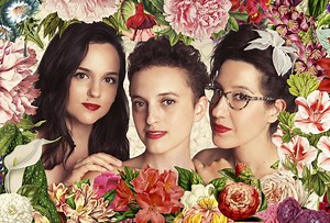 The Hazelnuts - AICF