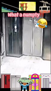 147 reactions · 17 comments | A little lout falls down a lift shaft⁉️藍 #lift #liftingsolutions #lifteachotherup #liftservice #liftselfie #lifts #liftshaft #elevator #elevatortechnician #wow #lol | Jonathan N Kelly | Facebook