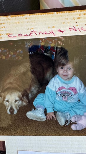 I’ve loved a lot of different kinds of dogs in my life… and each one has changed me just a little. 💛 ✨ Nikki — golden retriever/husky mix My first best friend. She was sunshine and snow dog magic rolled into one. ✨ Shorty the Super Mutt Inherited from my great-grandfather — who pulled like a maniac on leash and always was on TOP of his dog house, Snoopy style. ✨ Bella the Husky My first dog as an adult. Independent. Opinionated. Perfect. ✨ The dogs Renee brought into my life Ellie Mae the Saint