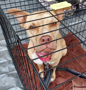 8.6K views · 1K reactions | Meet Magnificent Mileena as part of the...