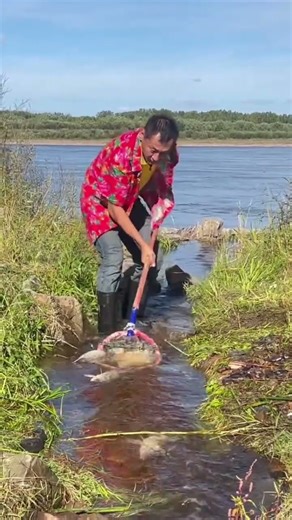 Winter Fishing Joy, Nature, Snow & Big Fish #fisch c#shortsc