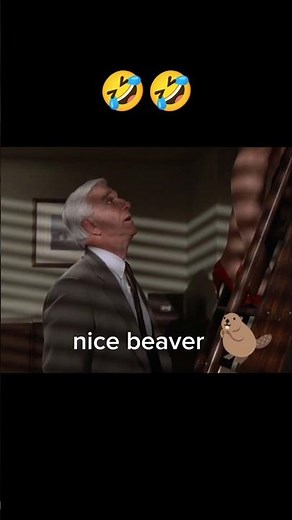 nice beaver 🤣🤣 funny scene from movie Airplane .#movie #funny