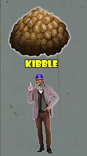 ark basics what is kibble?